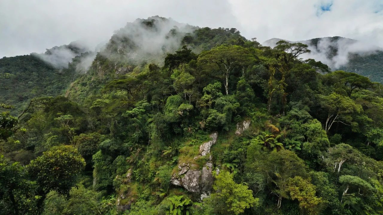 Encosta florestada da Serra do Curral com afloramentos rochosos e nuvens baixas